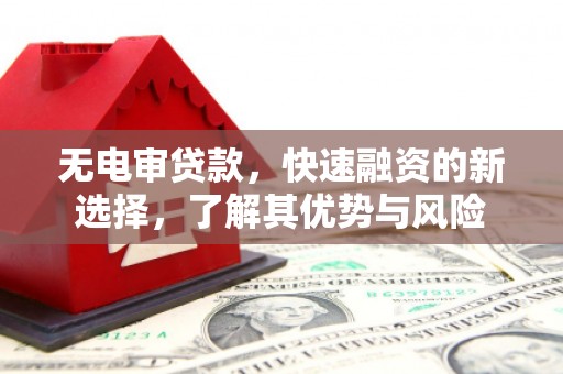 钢城无电审贷款，快速融资的新选择，了解其优势与风险