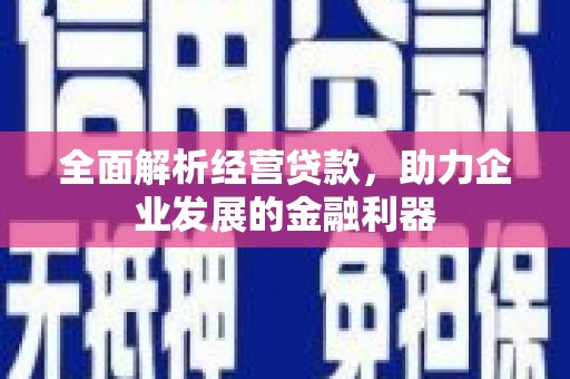 钢城全面解析经营贷款，助力企业发展的金融利器