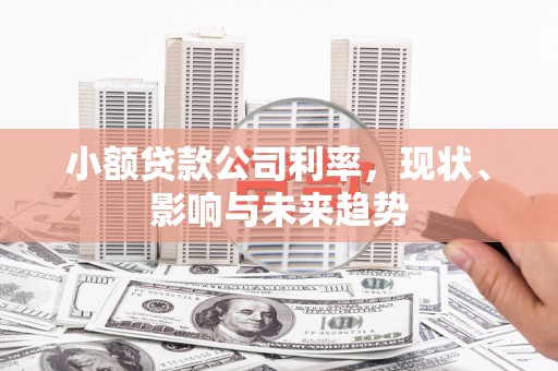 钢城小额贷款公司利率，现状、影响与未来趋势