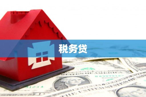 钢城税务贷