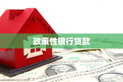 钢城政策性银行贷款