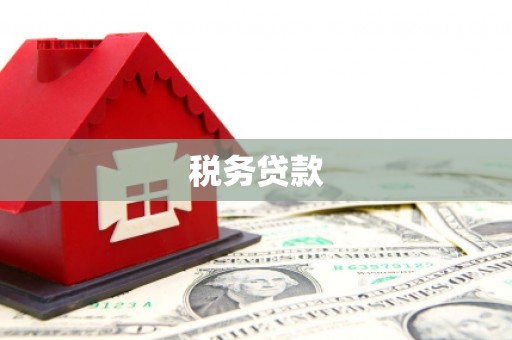 钢城税务贷款
