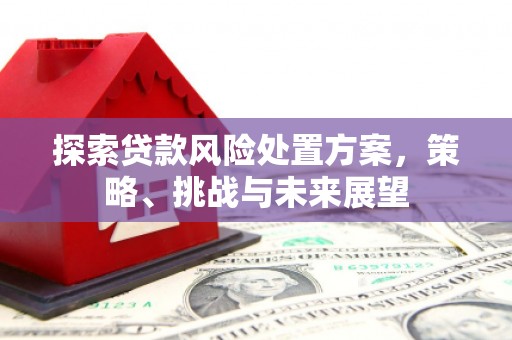 钢城探索贷款风险处置方案，策略、挑战与未来展望
