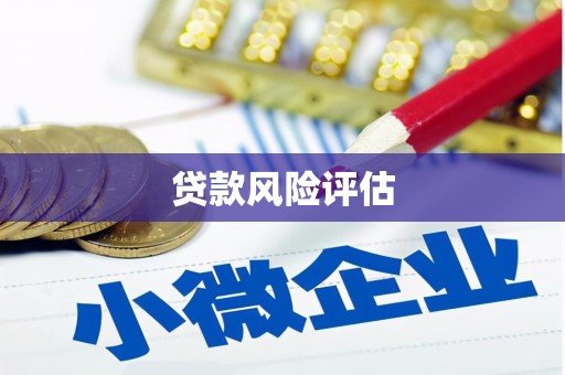 钢城贷款风险评估