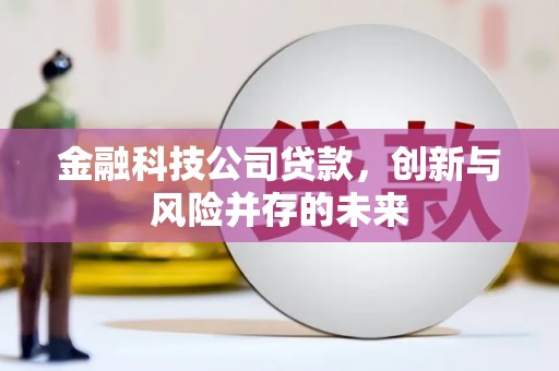 钢城金融科技公司贷款，创新与风险并存的未来