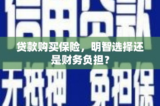 钢城贷款购买保险，明智选择还是财务负担？