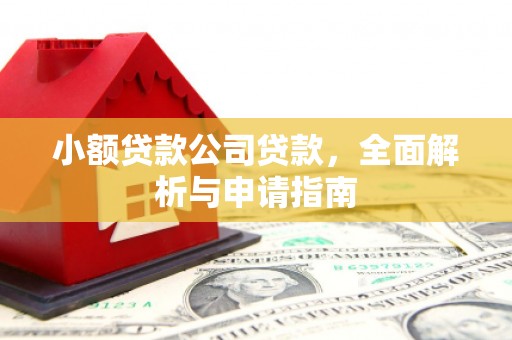 钢城小额贷款公司贷款，全面解析与申请指南