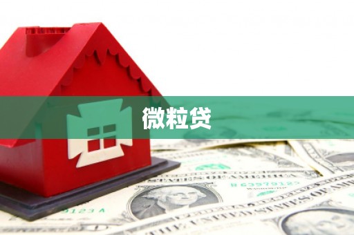 钢城微粒贷
