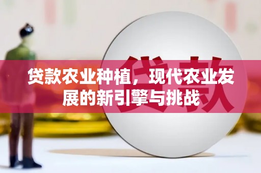 钢城贷款农业种植，现代农业发展的新引擎与挑战