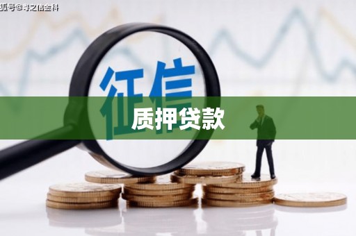 钢城质押贷款