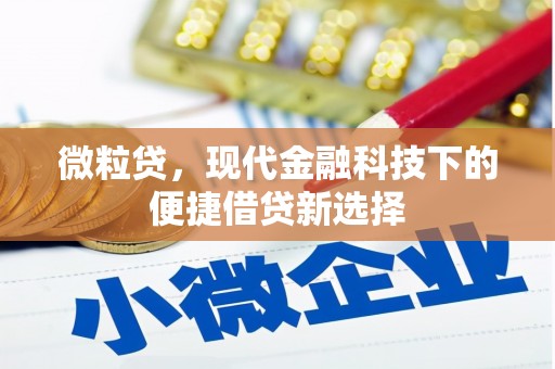 钢城微粒贷，现代金融科技下的便捷借贷新选择