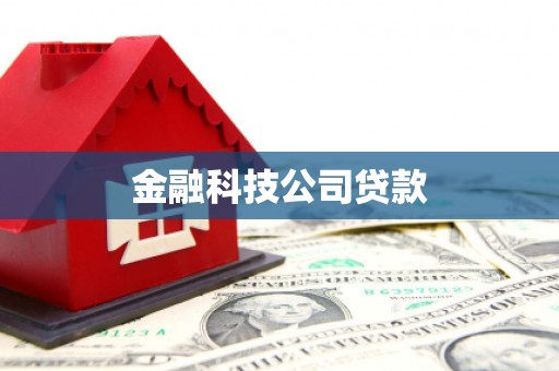 钢城金融科技公司贷款
