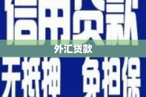 钢城外汇贷款