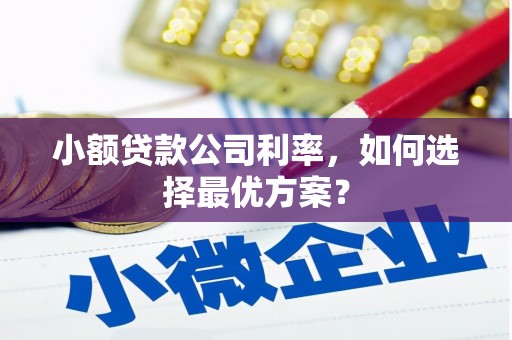 钢城小额贷款公司利率，如何选择最优方案？