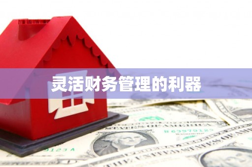 钢城灵活财务管理的利器