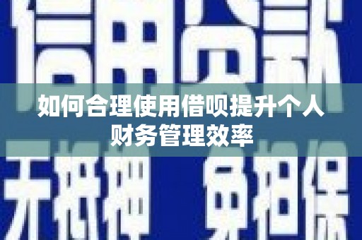 钢城如何合理使用借呗提升个人财务管理效率