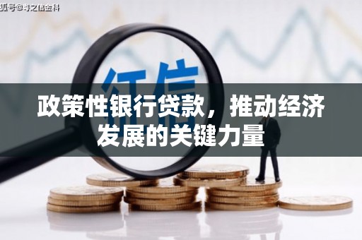 钢城政策性银行贷款，推动经济发展的关键力量