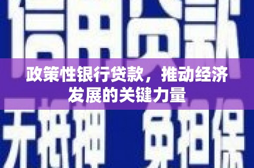 钢城政策性银行贷款，推动经济发展的关键力量