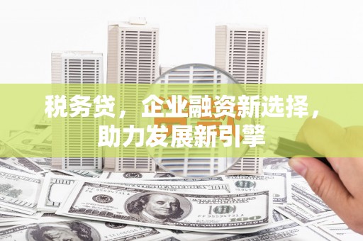 钢城税务贷，企业融资新选择，助力发展新引擎