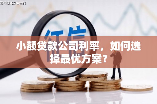 钢城小额贷款公司利率，如何选择最优方案？