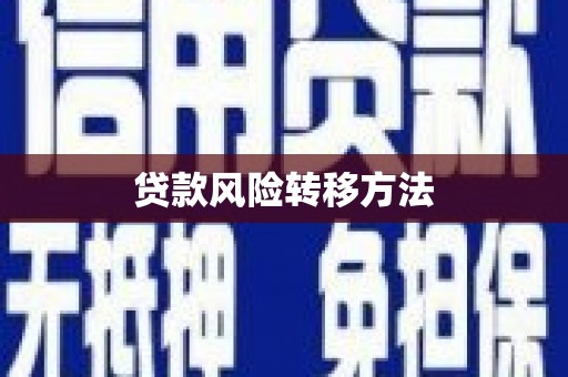 钢城贷款风险转移方法