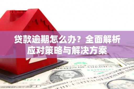 钢城贷款逾期怎么办？全面解析应对策略与解决方案