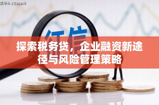 钢城探索税务贷，企业融资新途径与风险管理策略