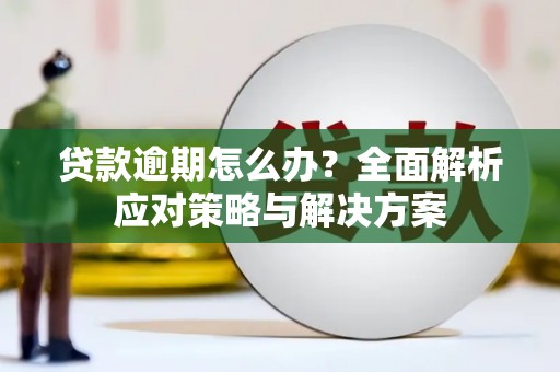 钢城贷款逾期怎么办？全面解析应对策略与解决方案
