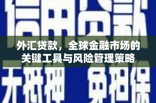 钢城外汇贷款，全球金融市场的关键工具与风险管理策略