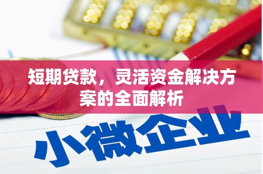 钢城短期贷款，灵活资金解决方案的全面解析