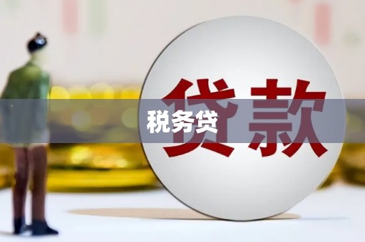 钢城税务贷