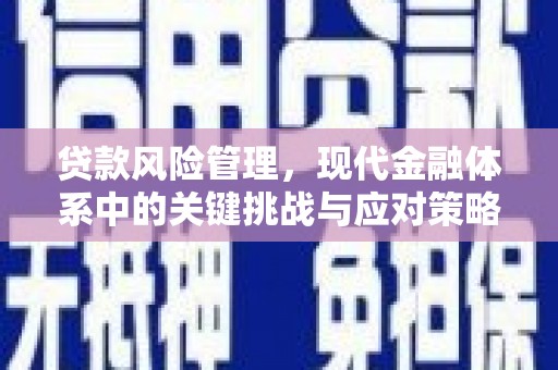 钢城贷款风险管理，现代金融体系中的关键挑战与应对策略