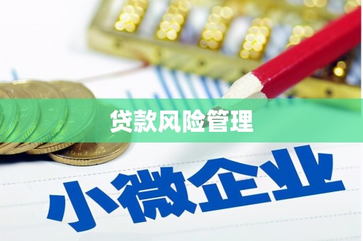钢城贷款风险管理