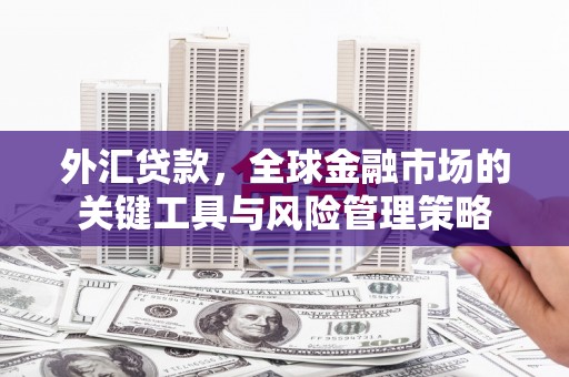 钢城外汇贷款，全球金融市场的关键工具与风险管理策略