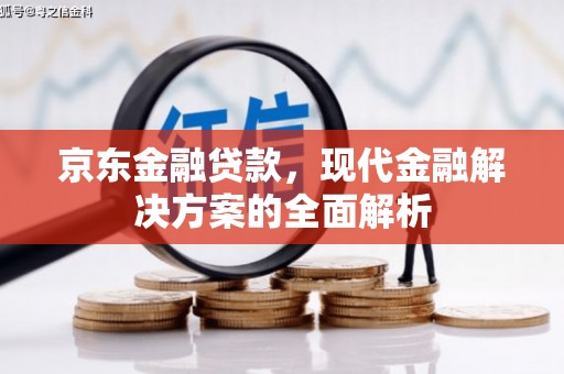 钢城京东金融贷款，现代金融解决方案的全面解析