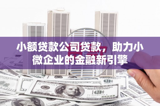 钢城小额贷款公司贷款，助力小微企业的金融新引擎