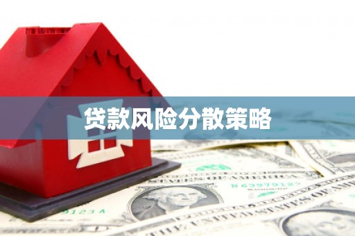 钢城贷款风险分散策略