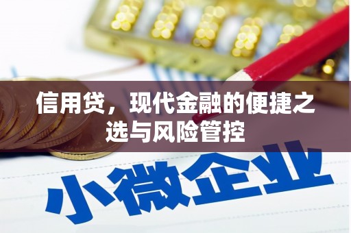 钢城信用贷，现代金融的便捷之选与风险管控