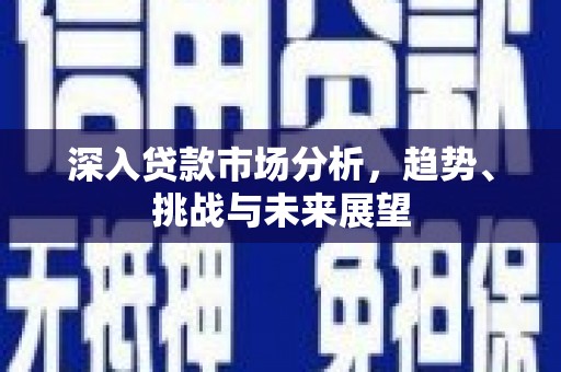 钢城深入贷款市场分析，趋势、挑战与未来展望