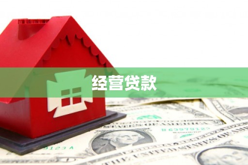 钢城经营贷款