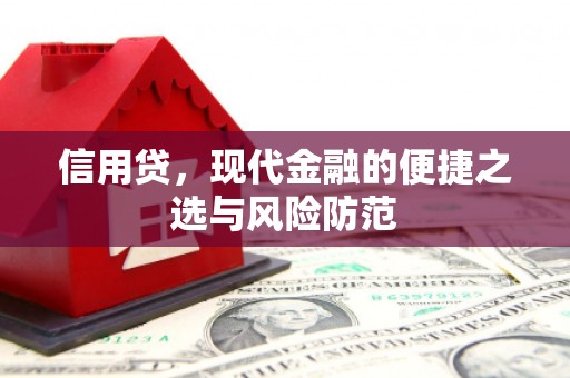 钢城信用贷，现代金融的便捷之选与风险防范