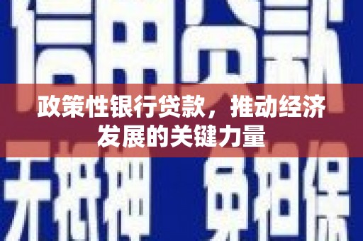 钢城政策性银行贷款，推动经济发展的关键力量