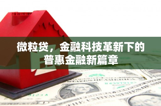 钢城微粒贷，金融科技革新下的普惠金融新篇章