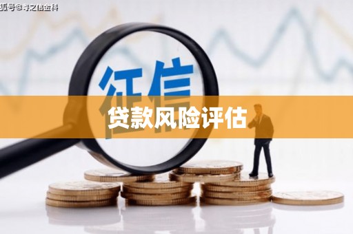 钢城贷款风险评估