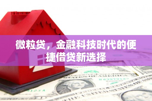 钢城微粒贷，金融科技时代的便捷借贷新选择