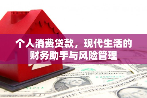 钢城个人消费贷款，现代生活的财务助手与风险管理