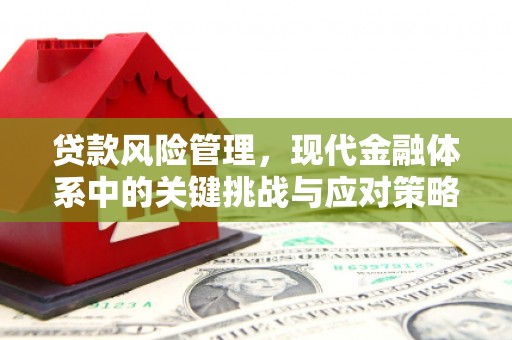 钢城贷款风险管理，现代金融体系中的关键挑战与应对策略