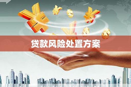 钢城贷款风险处置方案