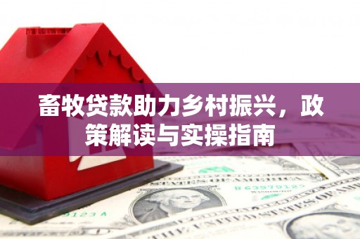 钢城畜牧贷款助力乡村振兴，政策解读与实操指南