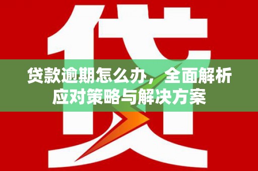 钢城贷款逾期怎么办，全面解析应对策略与解决方案